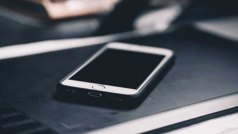 Panel 8: Side by Side (Video)